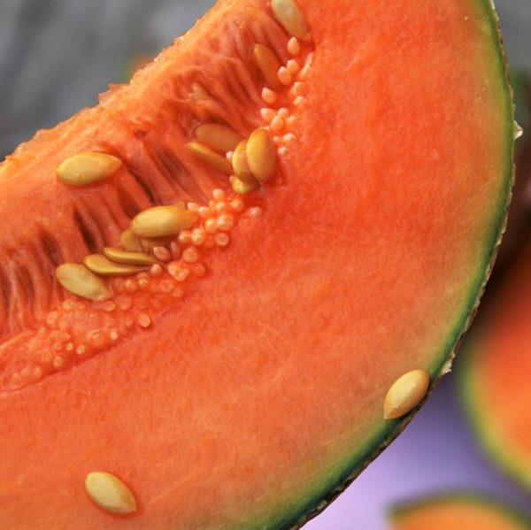 Melon - CUCUMIS melo "picasso"